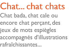 Chat... chat chats Chat bada, chat cale ou encore chat perçant, des jeux de mots espiègles accompagnés d'illustrations rafraîchissantes...